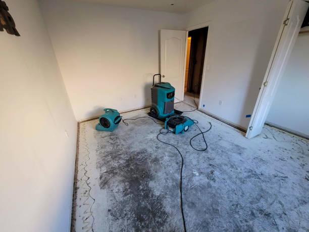 Best Water damage contractors near me  in Helmetta, NJ