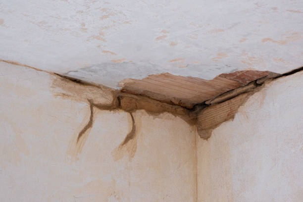 Best Sewage cleanup and water damage restoration  in Helmetta, NJ
