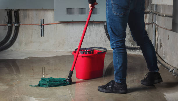 Best Residential water damage restoration  in Helmetta, NJ
