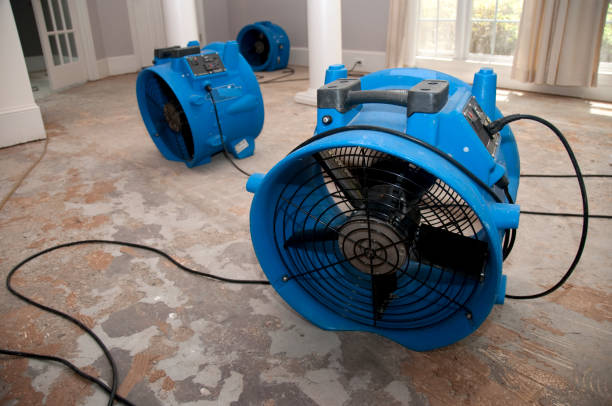 Best Water damage restoration near me  in Helmetta, NJ