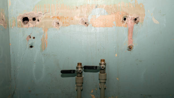 Best Commercial water damage restoration  in Helmetta, NJ