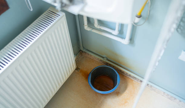 Best Water damage restoration specialists  in Helmetta, NJ