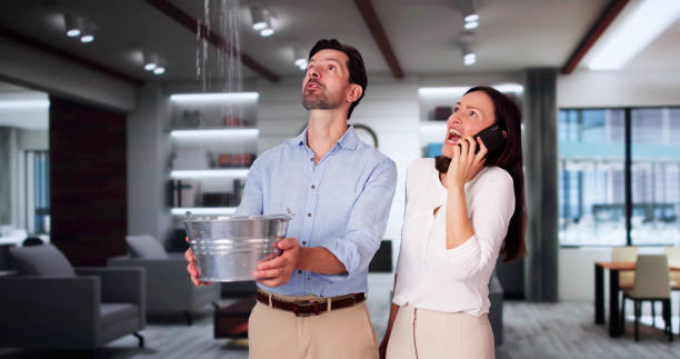 Best Local water damage restoration  in Helmetta, NJ