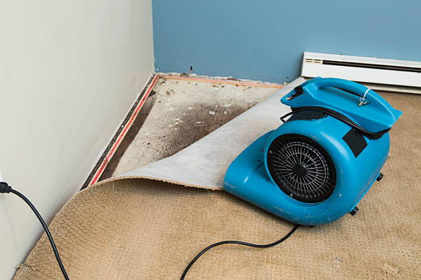 Best Water damage restoration experts  in Helmetta, NJ